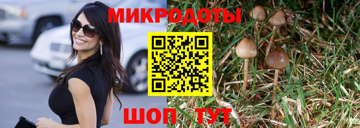 Галлюциногенные грибы Psilocybine cubensis  Галлюциногенные грибы мухоморы  Россия  Вход с VPN 
